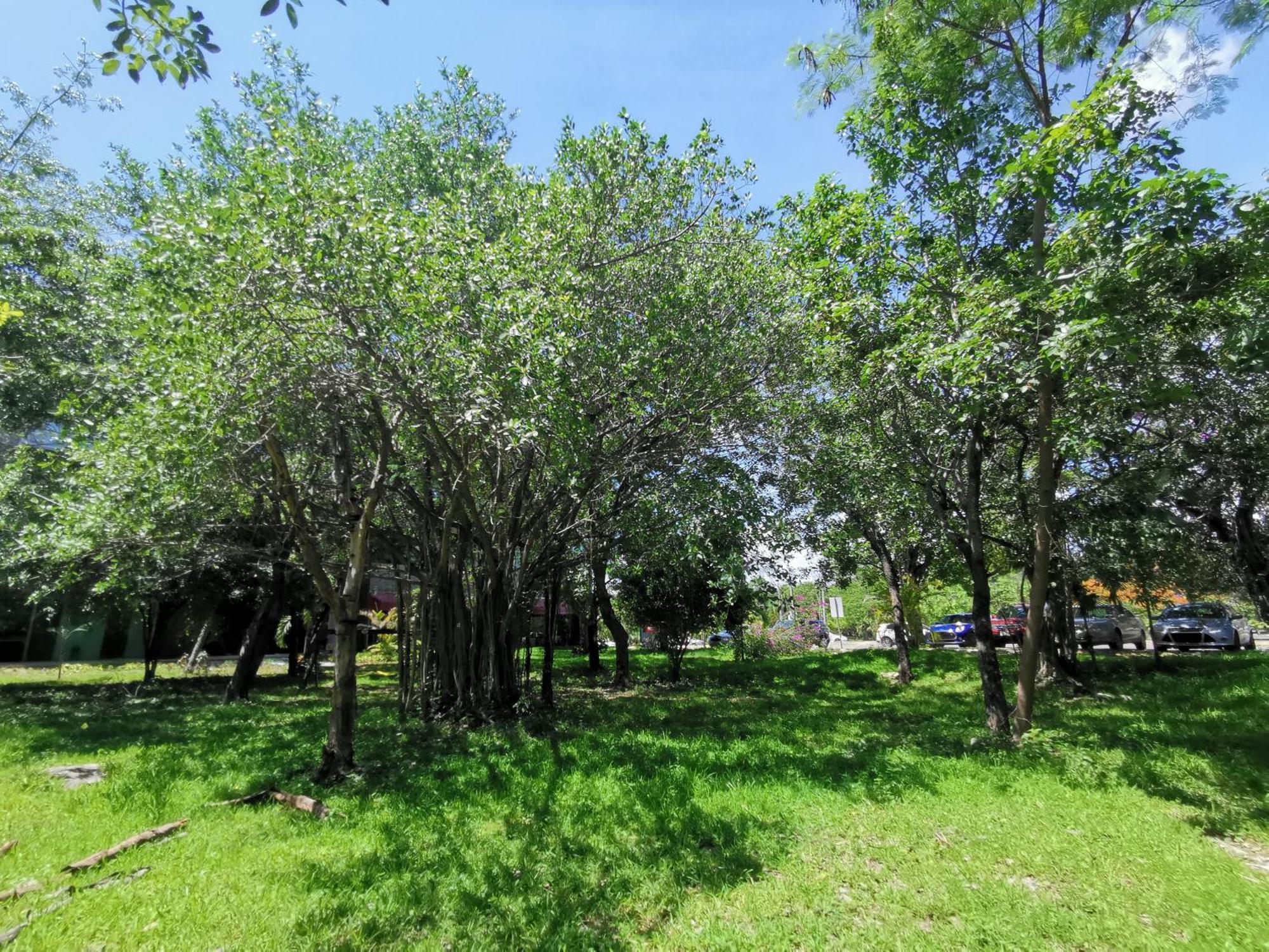 Beautiful & Cozy Near Beach Apartment Pool & Kingsize Bed Cancun Oda fotoğraf